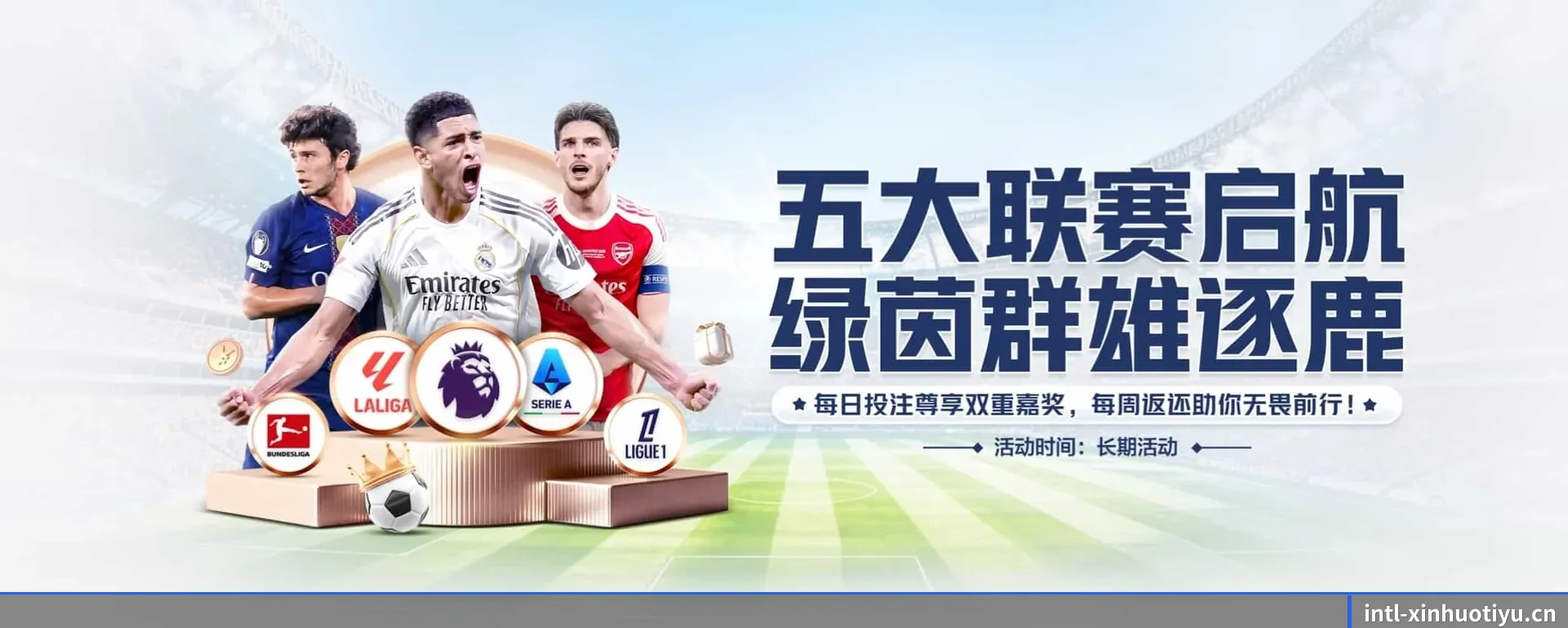五大服务分区,信息按项目类别