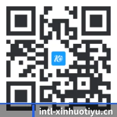 系统版 iOS 二维码