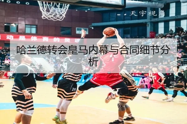 哈兰德转会皇马内幕与合同细节分析